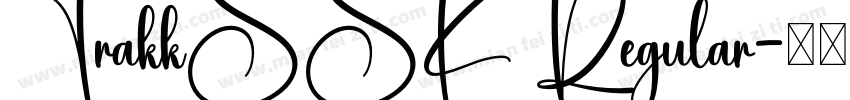 TrakkSSK Regular字体转换